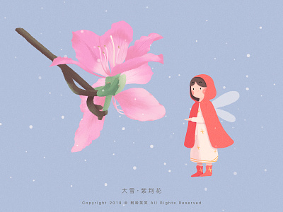 大雪 · 紫荆花