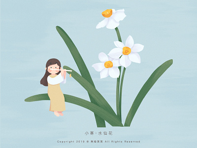 小寒 · 水仙花 cute flower girl illustration