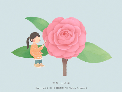 大寒 · 山茶花 cute flower girl illustration