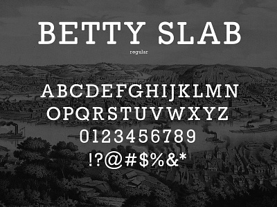 Betty Slab betty font slab slab serif type typeface