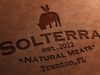 Solterra Logo branding logo