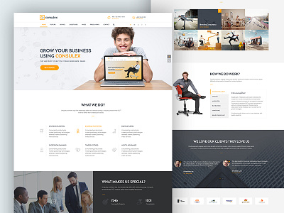Consulex analysis business consultant feature finance homepage html seo table