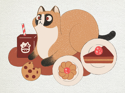 Cookie Cat animals characterdesign childrens illustration design drawing illustration