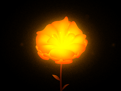 Red flower fire flower illustration light noise red