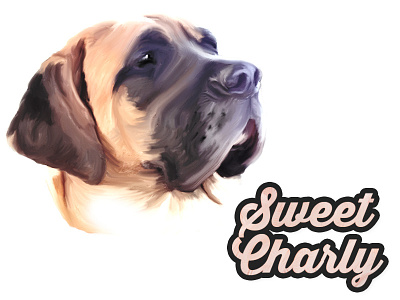 Sweet Charly art design dog graphic design illustration mastif painting sweet charly