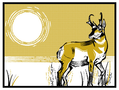 Pronghorn screen print screenprinting screenprint west western montana helena illustrator black gold sketchy sketch halftone antelope pronghorn drawing illustration design graphic design