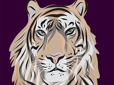 Tiger Vector Illustration