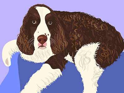 Tucker Davis Illustration by Design by Cheyney bold bold color bright bright color colour design dog dog illustration dogs drawing english flat illustration illustrator minimal pawtrait portrait spaniel springer vector