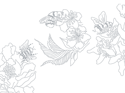 Line drawing of Bees and Flowers for Apicare