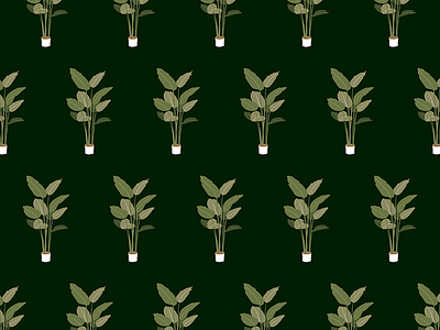 Indoor Plant Pattern