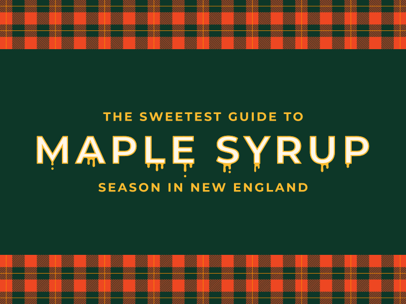 Maple Syrup by Fallon Venable on Dribbble