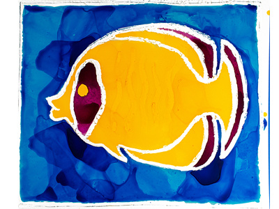 Butterflyfish