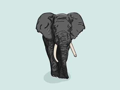 Elephant animal elephant grey illustration