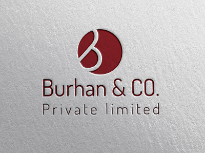 Burhan & Co design flat logo minimal