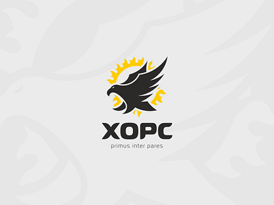 logotype for XOPC