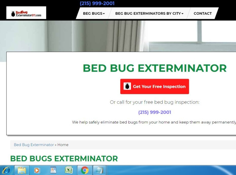 bed bug exterminator by hameys on Dribbble