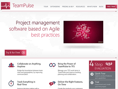 TeamPulse Web Site Proposal site web website