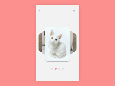 DailyUI #072 #Image Slider dailyui app designer