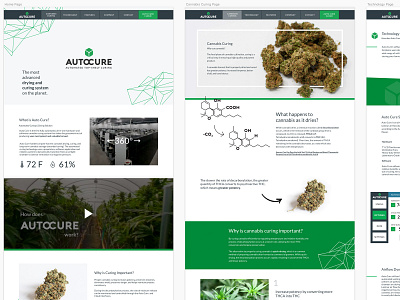 Auto Cure website