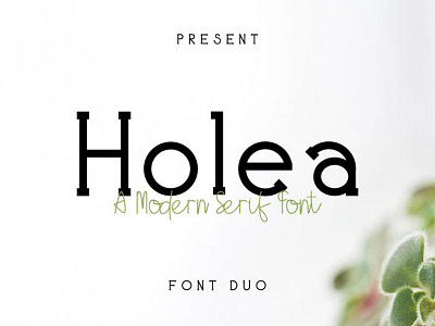 Holea - Free Modern Sans Serif Font