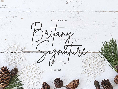 Brittany Signature Free Font branding font font family free font free fonts freebie freebies typeface typefaces typogaphy typography