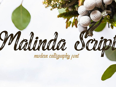 Malinda Script front font font family free font free fonts freebie freebies typeface typefaces typogaphy typography
