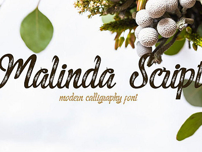 Malinda Script front