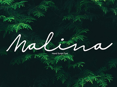 Malina Free Script Font font font family free font free fonts freebie freebies typeface typefaces typogaphy typography