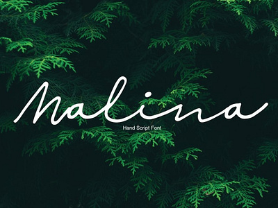 Malina Free Script Font