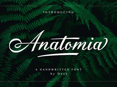 anatomia script font font font design font family fonts free font free fonts freebie freebies typography