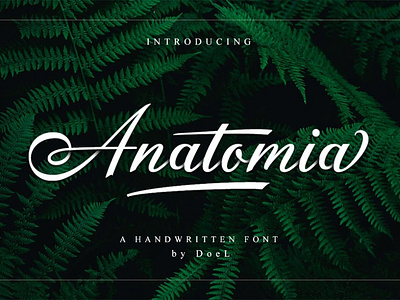 anatomia script font