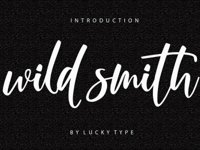 Wild Smith - Free Modern Script Font