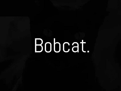 The Bobcat Free Sans Serif typeface font font awesome font design font family fonts free font free fonts freebie freebies typography