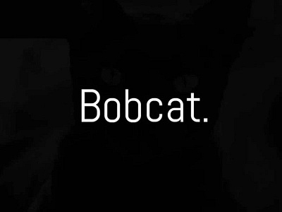 The Bobcat Free Sans Serif typeface