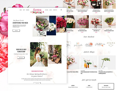 Carnations carnation ecommerce design florist flowers nature photoshop ui web design