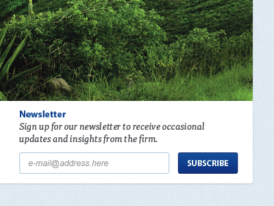 Subscribe header newsletter signup