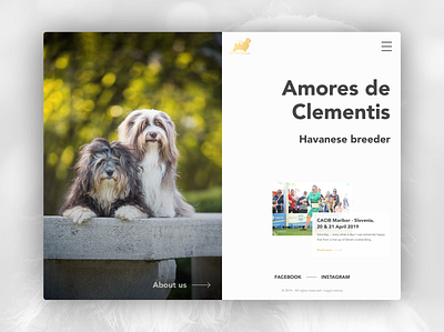 Web Design & Web Development // Amores de Clementis breed breeder clean clean design clean ui dog gold half layout split split screen splitscreen ui uidesign ux ux ui uxdesign web design webdesign website website design