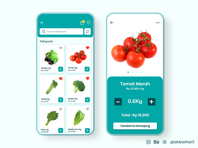 Grocery Store Mobile App Design