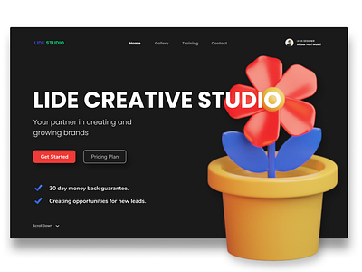 Lide Studio - Digital Agency Landing Page design