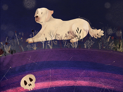 Midnight Run digital illustration dog illustration