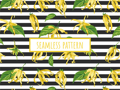 Floral seamless pattern with ylang ylang flowers botanical essential oil flower illustration seamless pattern tropical vector ylang