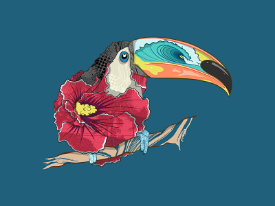 Toucan Illustration apparel art design digital artist graphic hawaii hibiscus illustration illustrator t shirt design toucan