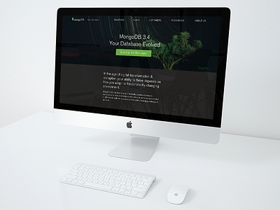MongoDB 3.4 Product Page branding product ui web design