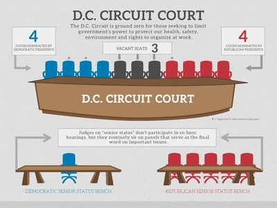 DC Circuit Court Infographic, 2013