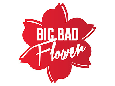 Big Bad Flower logo flower illustration illustrator logo retail