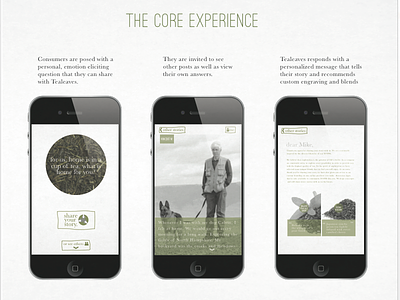 Amity - The Core Experience design experience interaction design intimate mobile tea