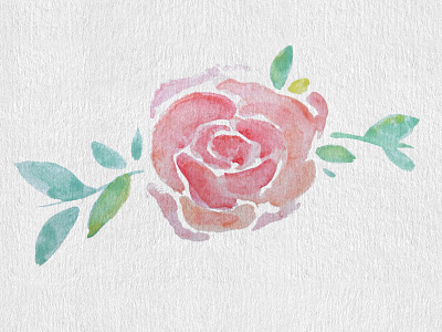 Watercolor Rose design dribbbleweeklywarmup flower graphic design painting texture watercolor watercolor art watercolor painting