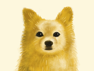 Pup Portrait - Bean dog illustration portrait procreate texture