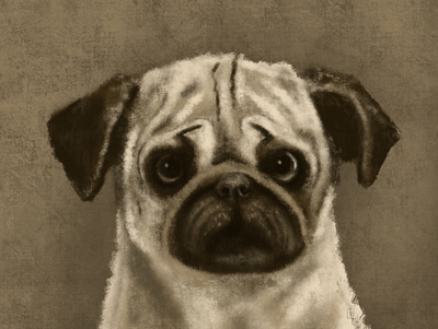 Pup Portrait - Dug animal dog illustration portrait procreate pug