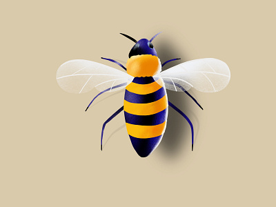 Bee bee illustration ipad pro procreate